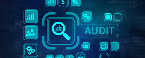 tax audit